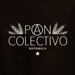 pAn Colectivo